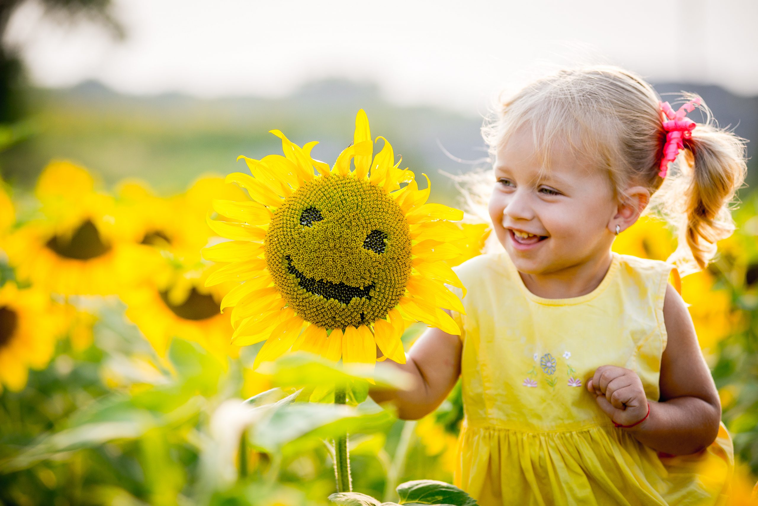 little girl growing sunflowers