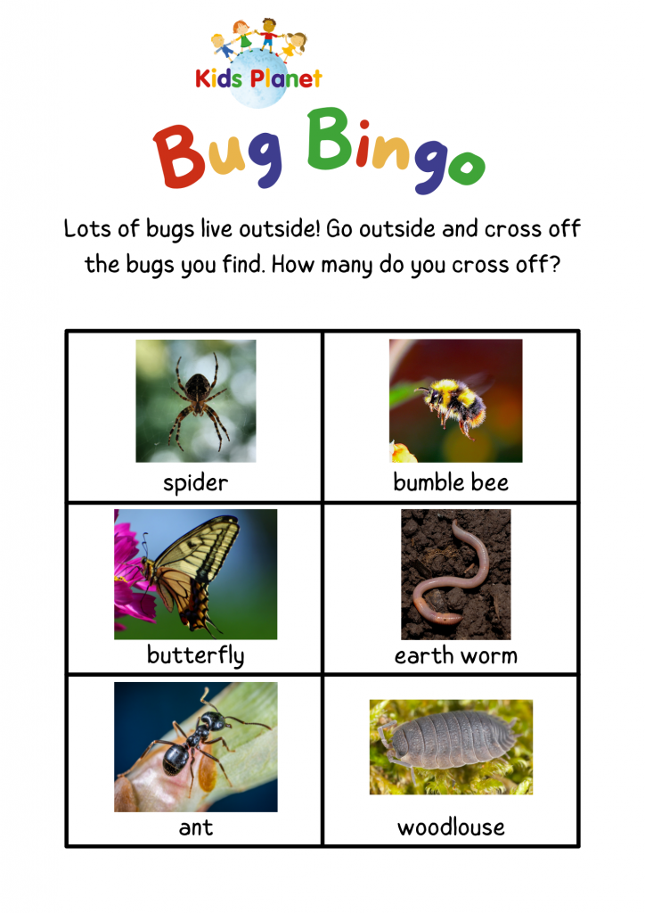 bug bingo print off sheet